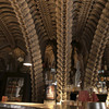 HR Giger Museum Bar