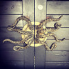 Huge Octopus Arms Door Handles