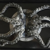 Huge Octopus Arms Door Handles