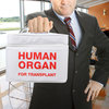 Human Organ For Transplant - Insulated Lunch Tote