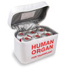 Human Organ For Transplant - Insulated Lunch Tote
