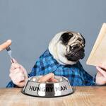 Hungry Man Bowl - Stainless Steel Dog Bowl For Humans