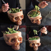 Human Skull Bowl