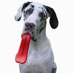 Humunga Tongue - Giant Cartoon Tongue Dog Fetch Toy