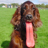 Humunga Tongue - Giant Cartoon Tongue Dog Fetch Toy