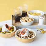 Hungry Bird Snack Bowl - Feed it Shells, Seeds, Pits, and Wrappers