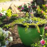 Hydria - Cordless Smart Fountain Water Feature Kit