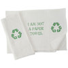 I Am Not A Paper Towel - Kitchen Towel Set