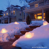 Ice Globe Lantern Kit