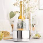 Ice Mold Bottle Chiller