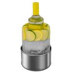 Ice Mold Bottle Chiller