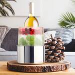 Ice Mold Bottle Chiller