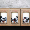 Icelandic Lava Stone and Moss Candles