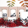 Icelandic Lava Stone and Moss Candles