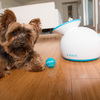 iFetch - Automatic Ball Launcher for Dogs