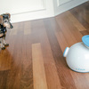iFetch - Automatic Ball Launcher for Dogs