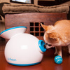 iFetch - Automatic Ball Launcher for Dogs