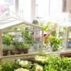 IKEA Socker - Indoor Miniature Greenhouse