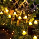 Illuminated Mushroom Solar Path Lights