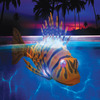 Illuminated Robotic Pool Fish