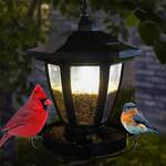 Illuminated Solar Coach Light Lantern Bird Feeder