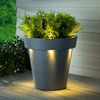 Illuminated Solar Light LED Planter
