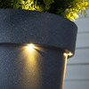 Illuminated Solar Light LED Planter