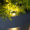 Illuminated Solar Light LED Planter