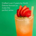 imPASTA Perfect Straws - 100% Biodegradable Drinking Straws
