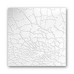 Impossible Broken Glass Clear Jigsaw Puzzle