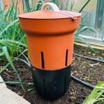 In-Ground Worm Farm Composter