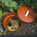 In-Ground Worm Farm Composter