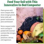 In-Ground Worm Farm Composter