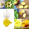 In-Shell Egg Scrambler - Makes a Golden Egg