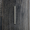Inchworm Titanium Ruler