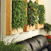 Indoor Living Wall Planters