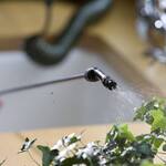 Indoor Mini Coil Plant Watering Hose and Sprayer