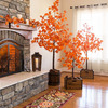 Indoor / Outdoor Lighted Maple Trees