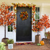 Indoor / Outdoor Lighted Maple Trees