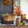 Indoor / Outdoor Lighted Maple Trees