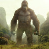 Inflatable King Kong Costume