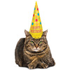 Inflatable Party Hat For Cats