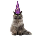 Inflatable Wizard Hat for Cats - Glows in the Dark!