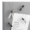 Insect Push Pins