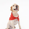 Insect Shield Dog Bandana