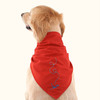 Insect Shield Dog Bandana
