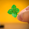 Insta-Luck - Authentic Four-Leaf Clover in a Bottle