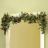 Instant Doorway Garland Hanger