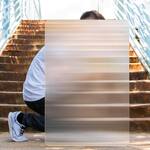 Invisibility Shield