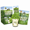 Irish Dirt Shamrock Growing Kit